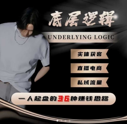一个人起盘的底层逻辑,私域流量-直播电商-实体获客,一人起盘的36种賺钱思路-卡尼奶资源站